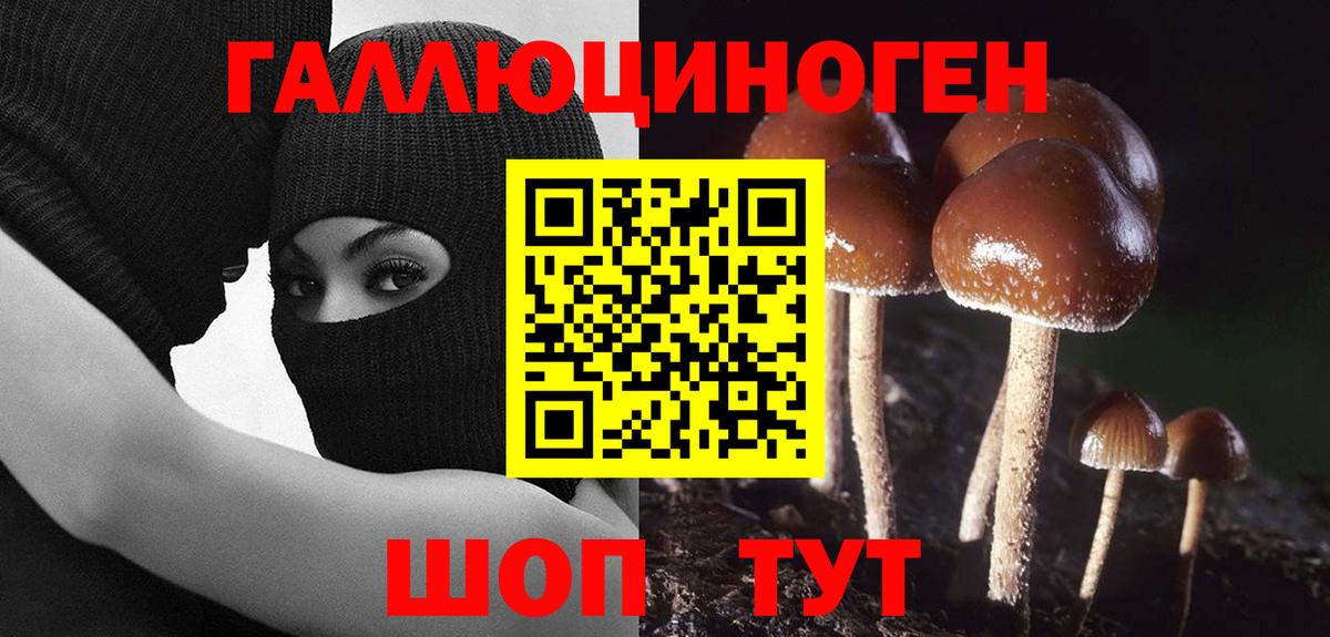 Псилоцибиновые грибы Psilocybe Урай
